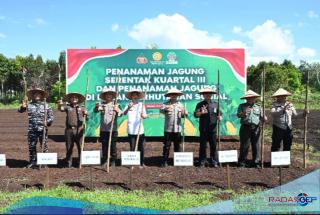 Polres dan Pemkab Bengkalis Tanam Jagung di Kampung Tangguh: Upaya Wujudkan Swasembada Pangan 2025